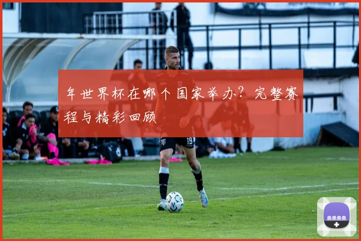年世界杯在哪个国家举办?完整赛程与精彩回顾